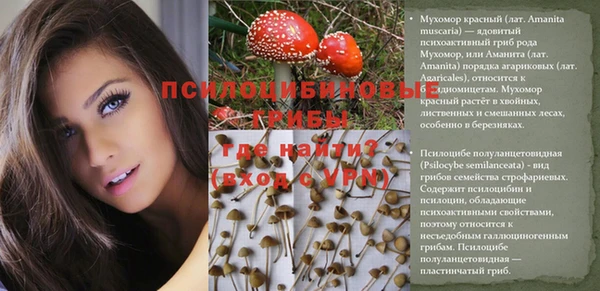 прущая мука Балахна